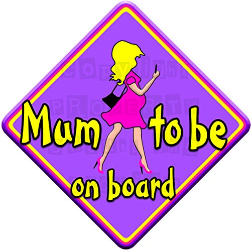LADY * MUM TO BE * on board novely non personalised baby car window sign