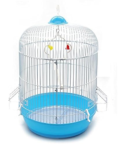 Jaulas Para Pájaros Transportador De Pájaros De Acero Inoxidable Jaula