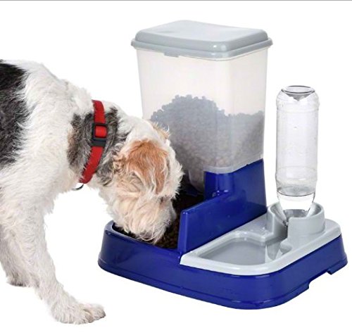 Pet-Food-Water-Dispenser-2in1-with-Detachable-Lids-for-Easy-Refill-An-Easy-Way-to-Feed-your-Pets