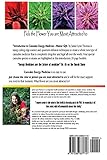 Image de Introduction to Cannabis Energy Medicine: Master Core Four Gift Kit