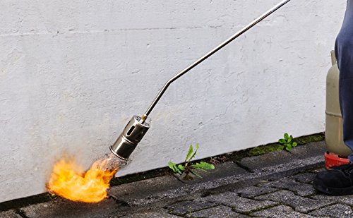 Rothenberger Industrial – RoMaxi Economy – Anwärmbrenner – inkl. 4 bar Regler und 5 Meter Schlauch – 1500000930 - 5