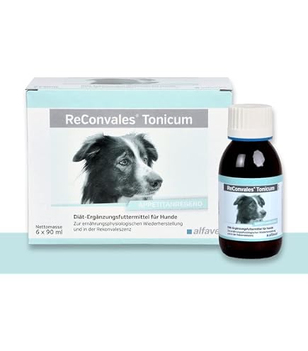 Bio Dit-Hundefutter bei Magen-Darm-Erkrankungen fr Hunde 6x400g in 100%  Bio-Lebensmittelqualitt Premium Nassfutter : Amazon.de: Haustier