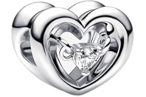 LKWIDI Femme Charms-Famille amour animaux Argent Sterling 925 Pendentif avec Zircon Cubique pour Bracelet