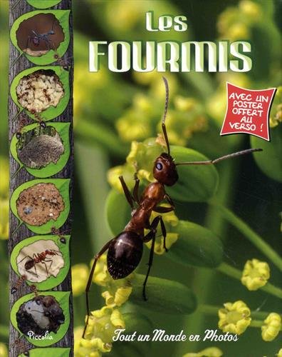 couverture de : Les Fourmis