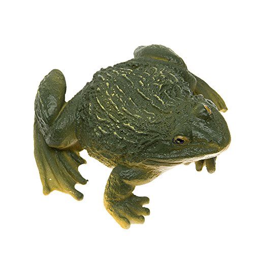 SecretRain Lebensechter Frosch aus Harz Miniatur Miniwelt als Gartendeko oder Geschenk - 2