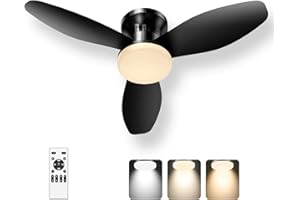 Lysumurl 2 in 1 Ceiling Fan with Light & Remote, Conservatory Ceiling Fans with Lamp, 6 Speeds, 3 Temperature, Reversible, Low Profile Ceiling Fan, Flush Mount DC Motor Fan Light