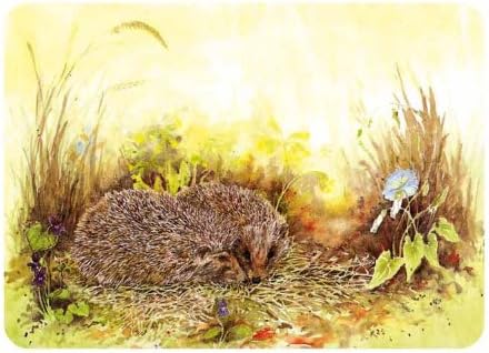 Hedgehog Glass Kitchen Worktop Saver / Chopping Board