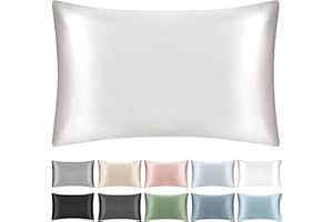 SILKTALE 100% Mulberry Silk Toddler/Travel Pillowcase,Both Sides 19MM Small Silk Pillow Case with Hidden Zipper for Kids/Baby 1pc, Ivory White,13"x18"