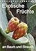 Price comparison product image Exotische Früchte an Baum und Strauch (Tischkalender 2019 DIN A5 hoch): Tropisches Obst fotografiert wie es wächst an der Pflanze (Planer, 14 Seiten )