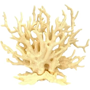 HOMOCONO Korallenhalter Für Aquarium - Weißer Acryl Halter Mit 32 Löchern