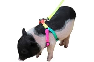 JKGHK Laisse de Harnais réglable Mini Pig pour Cochon de Porc et Autres Petits Animaux