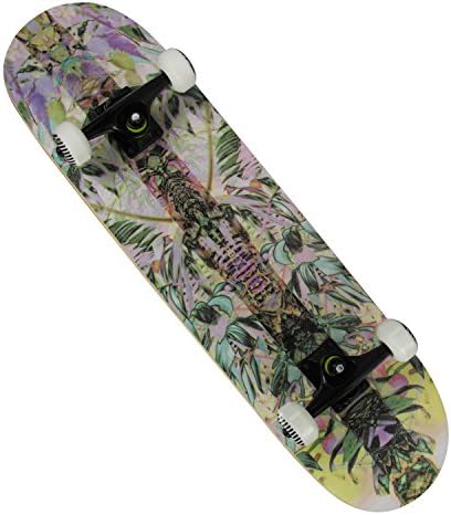 Chaokele01 Unisex Double Kick Concave Standard Skateboard 31" x 8" Archangel