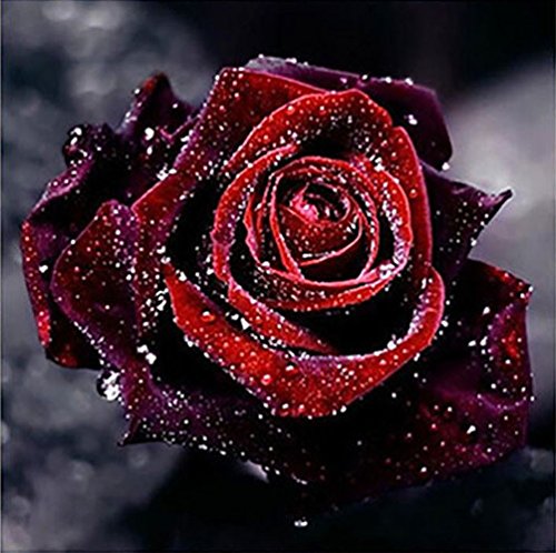 Set Diamond Painting Religion Handarbeit Perlen Strass Rose Blume 30x30