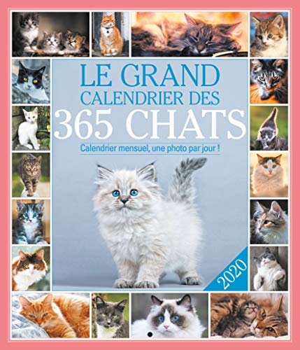 Télécharger Le grand calendrier des 365 chats PDF