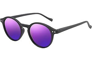 ZENOTTIC Lunettes de Soleil Polarisées pour Hommes et Femmes : Classiques Rétro Rondes Unisexes - Protection UV400 Cat.3