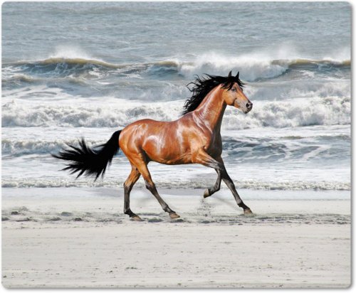 Mauspad / Mouse Pad aus Textil mit Rückseite aus Kautschuk rutschfest für alle Maustypen Motiv: Pferd [18]