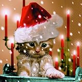 20 Servietten Sleepy Cat – Verträumte Katze / Winter /...