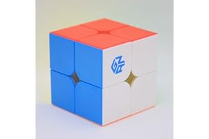 Bukefuno GAN 251 M Pro 2x2 Magnetwürfel Gans Mini Speed GAN 251 Pro 63 2x2x2 Aufkleberlose Magnete 2021 Magic Puzzle (Flaggschiff 251M Pro Matte Oberfläche)