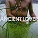 Produktbild Ancient Lover by Tigercity (2009-10-20)