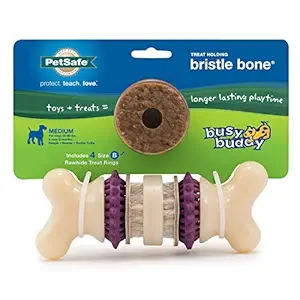 PetSafe Busy Buddy Bristle Bone Dog Toy, Medium