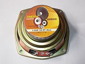 100 inch subwoofer