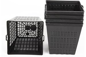 Lincolnshire Pond Plants Ltd Pond Planting Aquatic Basket Packs - 1 Litre - 11cm Square Pots x 6