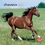 Image de Chevaux Calendar 2013