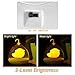 COOLEAD Creative Rechargeable Bird Cage LED Lamp Light Intelligent Touch Sensor LED Lights Sleeping in Fairy Tale for Kids, Baby ,Valentines Gift,Christmas Gift,Halloween Gift (Yellow)