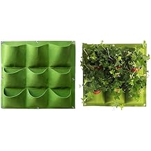 Amazon.es: jardin vertical pared - Amazon Prime