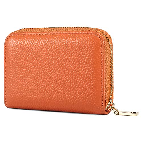 Baonika RFID Crédito Tarjetero Monedero Multifuncional de con Cremallera para Mujer Hombre (Naranja)