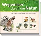 Image de Wegweiser durch die Natur: Die Tiere und Pflanzen Mitteleuropas