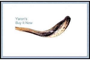 SHOFARS FOR SALE New 14" Rams Kudu Horn Shofar Authentic Polished Israel