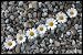 Produktbild Big Foot Flower 18 Fußabtreter, Polyester, mehrfarbig, 60 x 40 x 1 cm