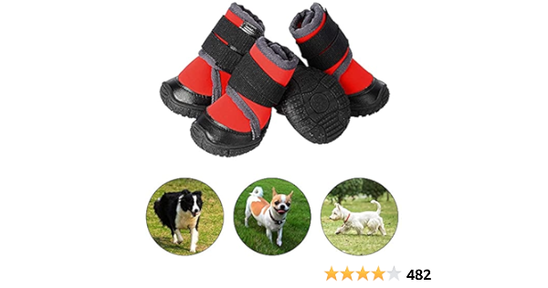 rubber dog boots amazon
