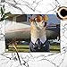 Produktbild Placemats Set of 6,Funny Photo Shiba Inu Dog Pilot Animals Wildlife Heat-Resistant Placemats Washable Table Mats for Kitchen Dining Table 12X18 Inch