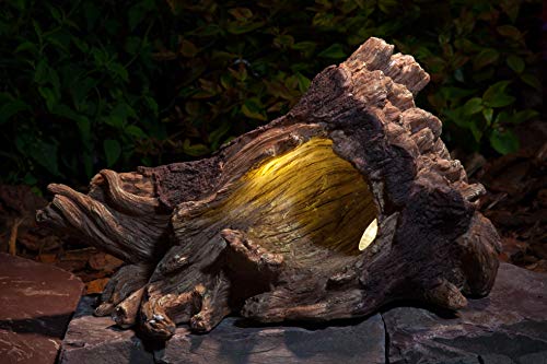 Noma Woodland - Luz para Borde