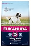alimento para perros fit senior Con sabor a pollo EUKANUBA Edad avanzada Próspero Raza Mediana rico en pollo fresco [3 kg]