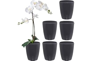 Santino Zestaw 6 doniczek samonawadniających z systemem knotów i wskaźnikiem poziomu wody do użytku w pomieszczeniach, doniczka na orchideę D 15 cm (antracyt – 2 l)