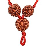 Saraswati Rudraksha Kawach/Pendant/Yantra for Students 100% Authentic Beads, Lab Certified Original Pure Siddha Rudraksha AAA Quality Sinks In Water For All Rashi By Saubhagya Global