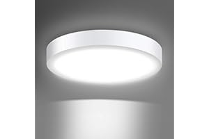 Creyer Modern Round 24W LED Ceiling Lights, Equivalent to 150W Bulbs, φ300mm, 2000LM, AC220-240V, Daylight White 6000K, LED Ceiling lamp for Living Room, Bedroom, Kitchen, Balcony Hallway