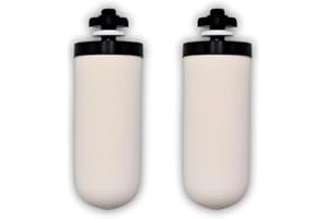 Newton 5" Gravity Water Filter Cartridge with Fluoride and Scale Reduction | For 1L Systems | Compatible with Phoenix, British Berkefeld, Berkey, ProOne and more. (2 Pack)