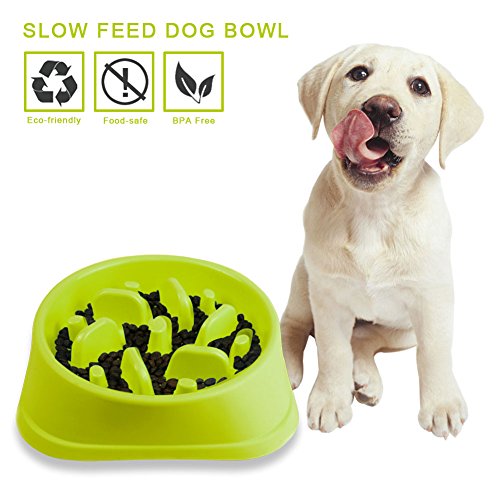 Decyam Gamelle antidérapante en forme de labyrinthe pour animal domestique - favorise une alimentation saine et une digestion lente
