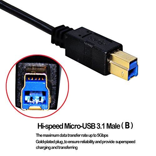 USB Type C, VANDESAIL USB-C zu USB 3.1 B-Stecker Kabel mit Hochwertiges Goldstecker für New Macbook 12 inch, Oneplus 2, Nokia N1 Tablet, ChromeBook Pixel und Weitere (Type-C to USB 3.1, B) - 3