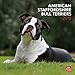 American Staffordshire Bull Terriers 2013 - Original BrownTrout-Kalender by