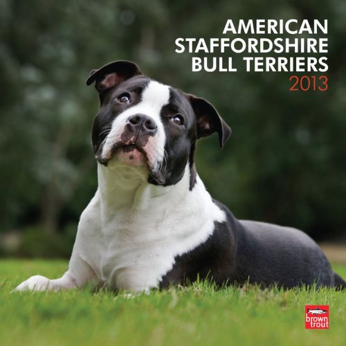 American Staffordshire Bull Terriers 2013 - Original BrownTrout-Kalender
