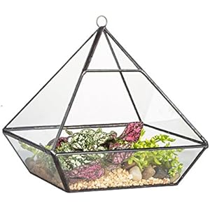Zum Aufhängen KÖDERS Metall Glas Geometrische Terrarium Tischplatte Sukkulente, Pflanzkasten-Topf Farn Moos 15cm
