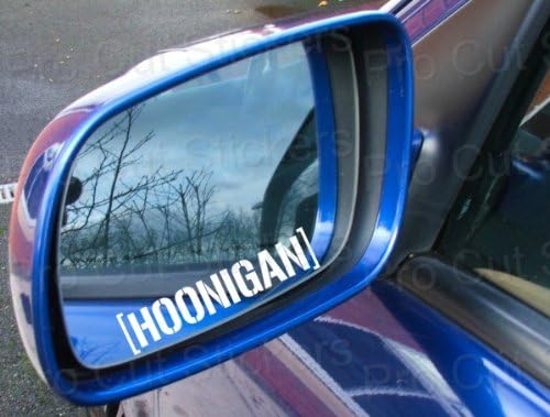 2 x Hoonigan Ken Block Decal Sticker Approximately 7.5 cm Energy Monster Claw Motorcycle / Car Styling