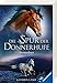 Die Spur der Donnerhufe, Band 2: Sternenfeuer by 
