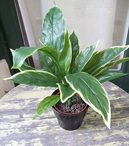 Künstliche Grünpflanze- Cordyline im Topf, grün-gelbliche Färbung, ca. 35cm hoch-Top-Qualität