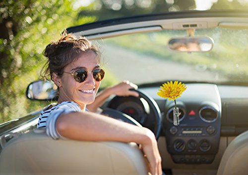 SANDINI Autovase mit Seidenblume/ Kunstblume – Die kultige Blumenvase als Cockpit-Deko – GROSSE AUSWAHL – GRATIS Organzabeutel – Auch für die Verwendung mit echten Blumen geeignet/ Passend für jedes Auto/ Die ideale Geschenkidee zum Valentinstag, Muttertag, Geburtstag, Abschluss, uvm. - 2